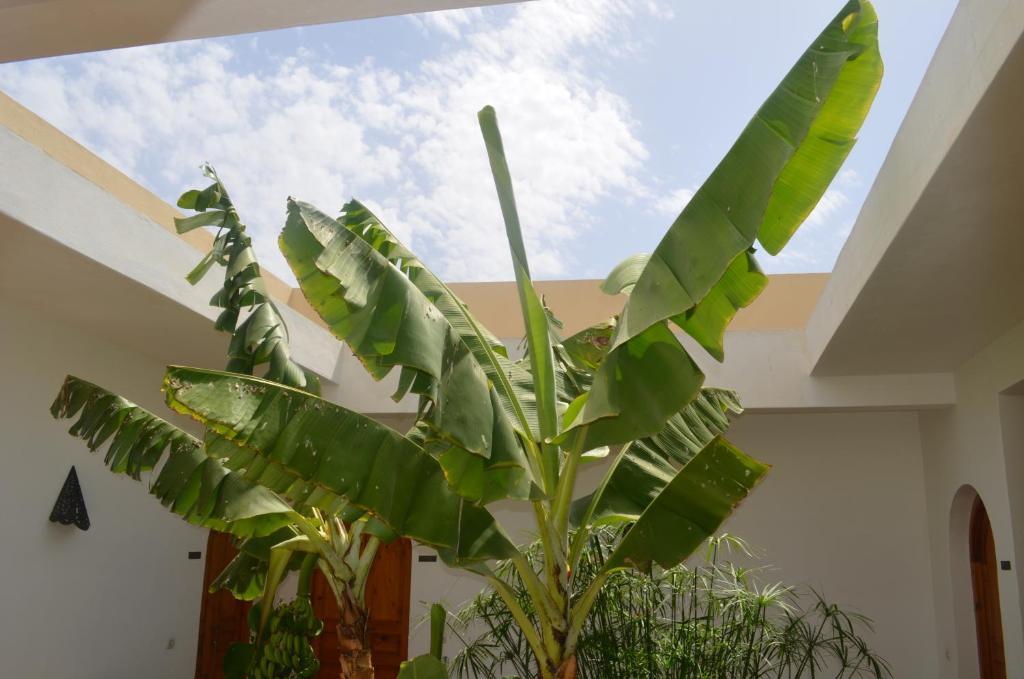 Casa Naima Hotel Ida Ougourd Bagian luar foto