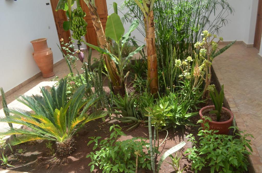 Casa Naima Hotel Ida Ougourd Bagian luar foto