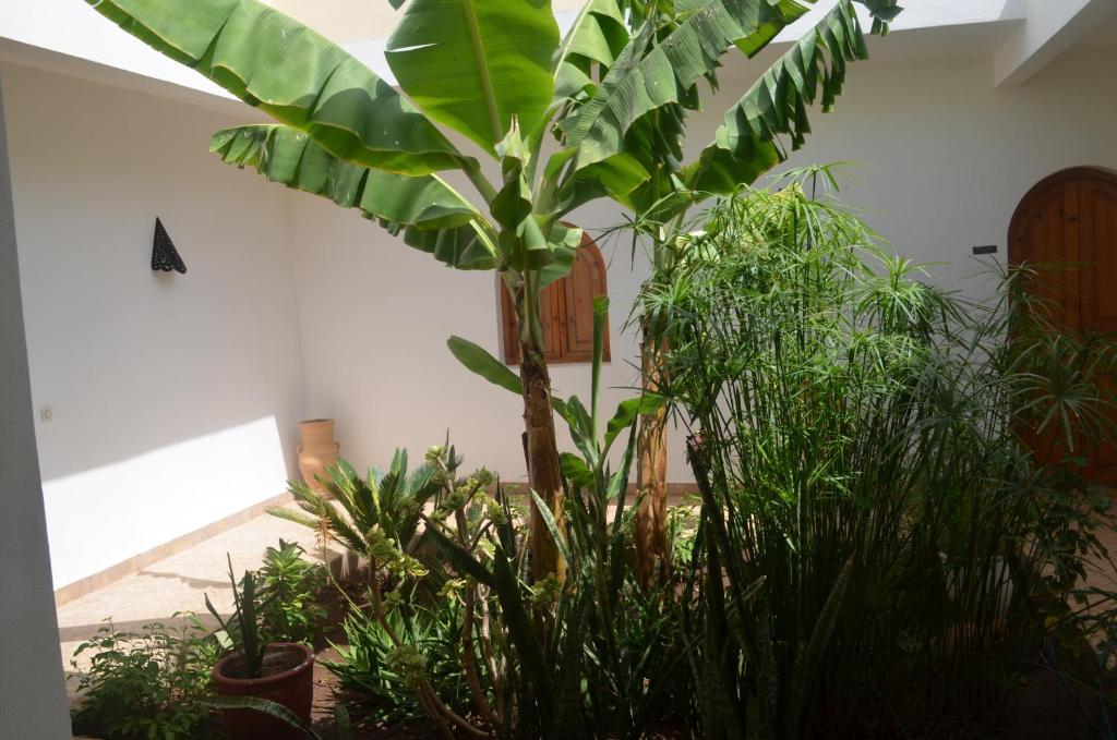 Casa Naima Hotel Ida Ougourd Bagian luar foto